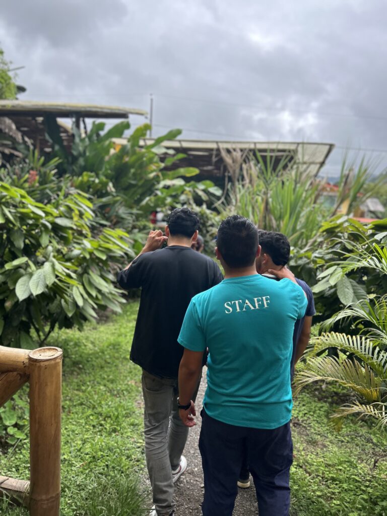 Visitantes caminando hacia la casa de caña donde se procesa el cacao