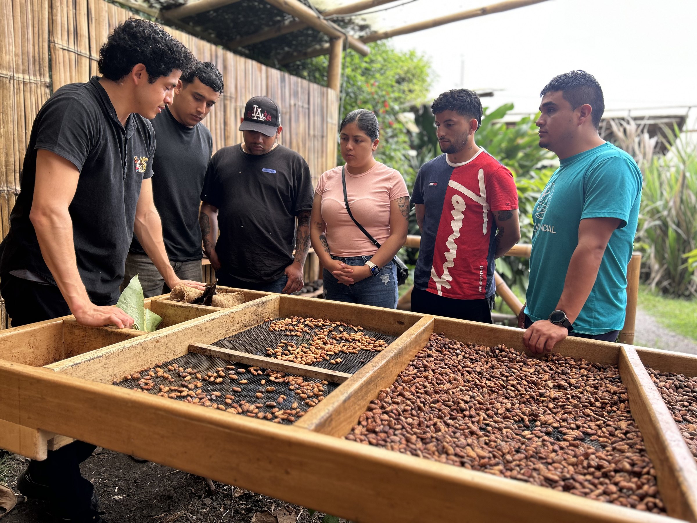 Guía explicando el secado de los granos de cacao a un grupo de visitantes