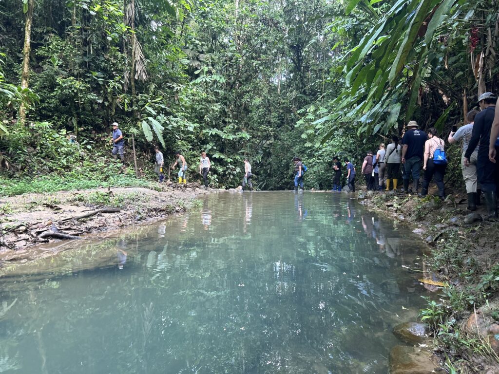 Grupo de visitantes caminando por la orilla de una poza de agua turquesa en la selva
