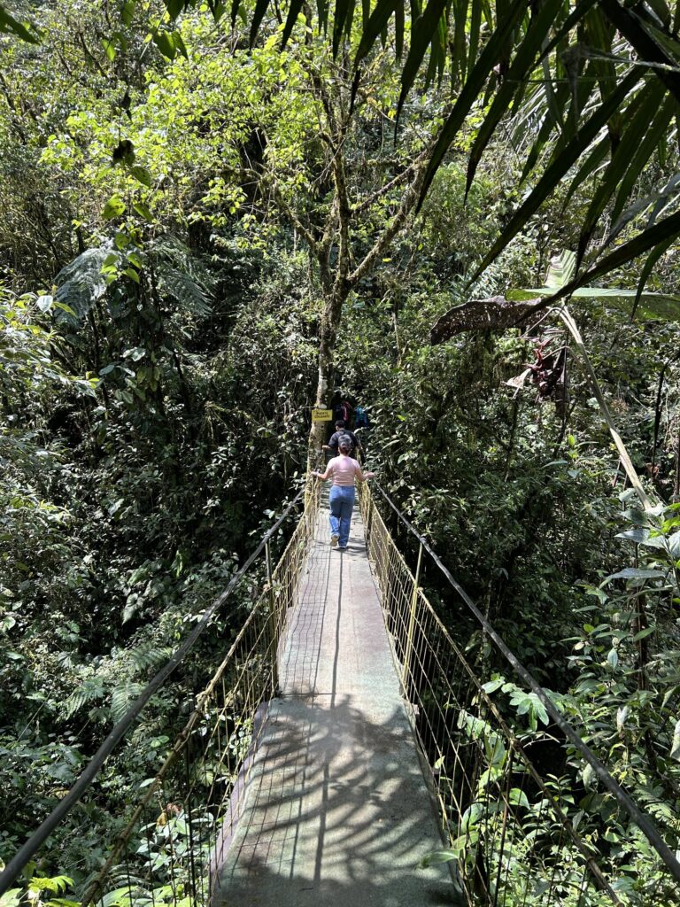 Visitante cruzando un puente colgante sobre la quebrada