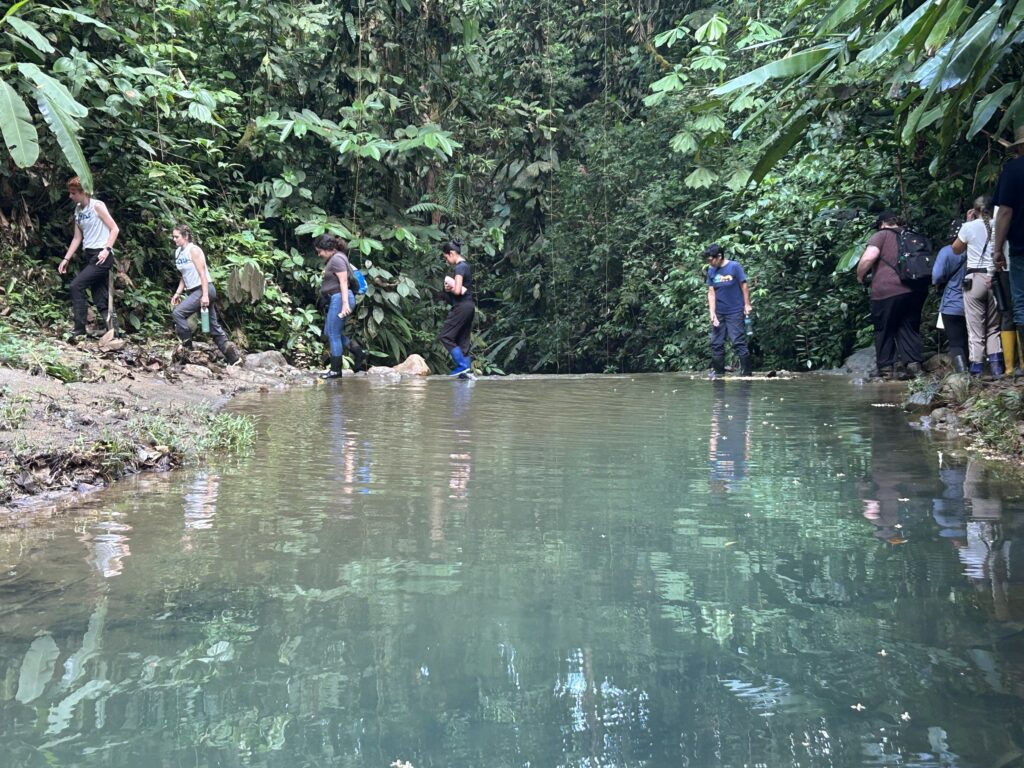 Grupo de visitantes cruzando una poza del bosque con el reflejo en el agua