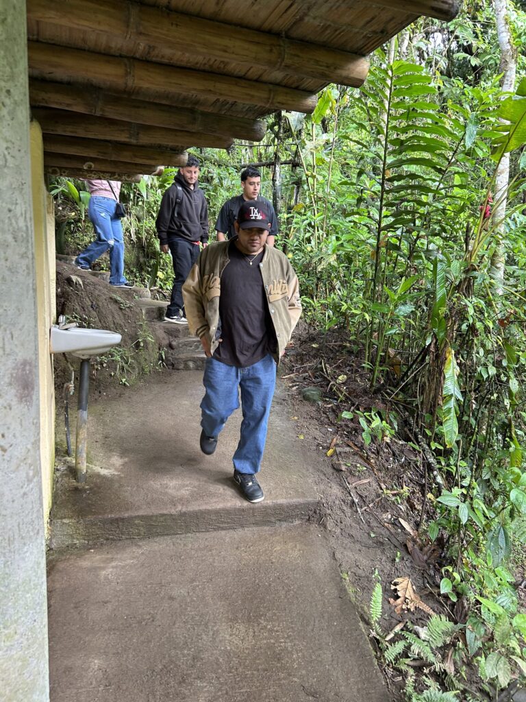 Visitantes bajando por el sendero empedrado entre helechos y vegetación