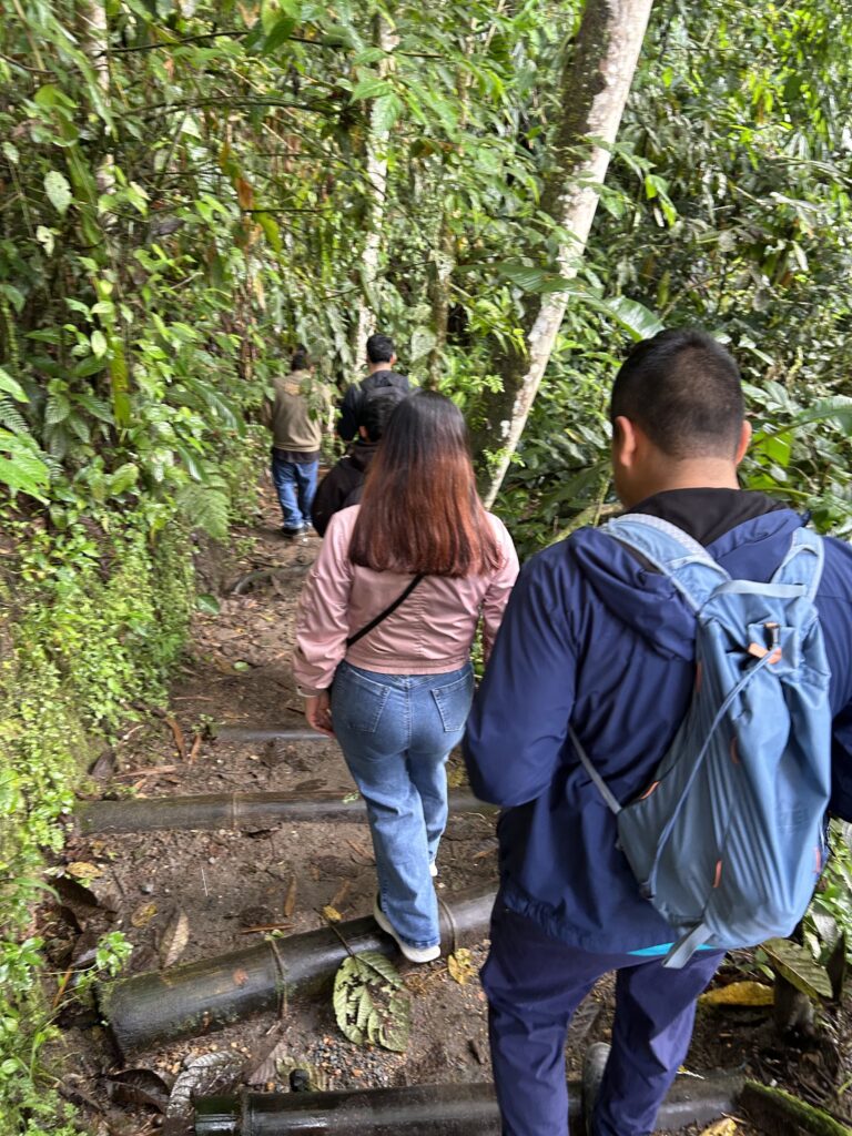 Pareja de visitantes caminando por un sendero de tierra en el bosque nublado