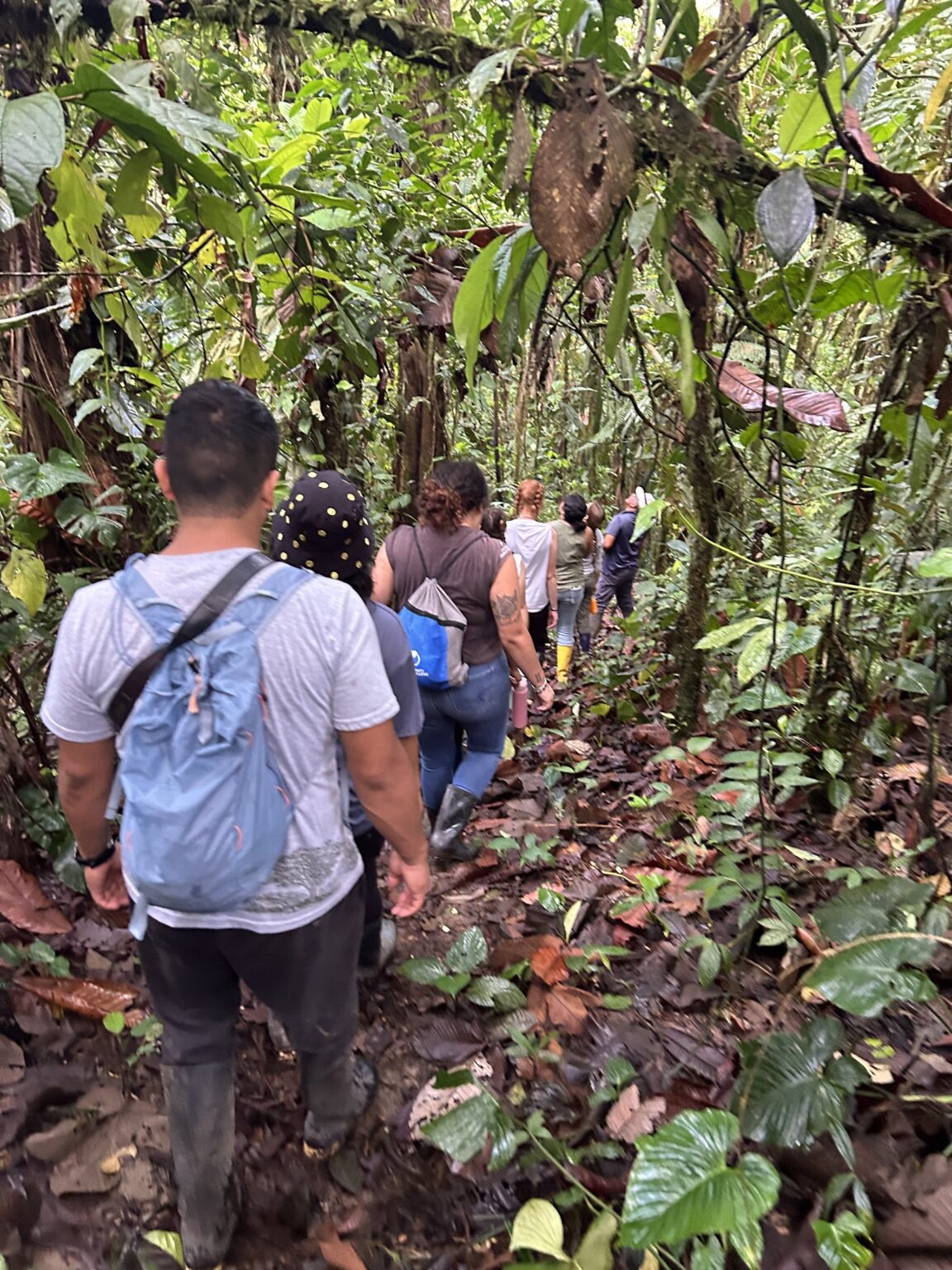 Comunidad Unión Bolivarense