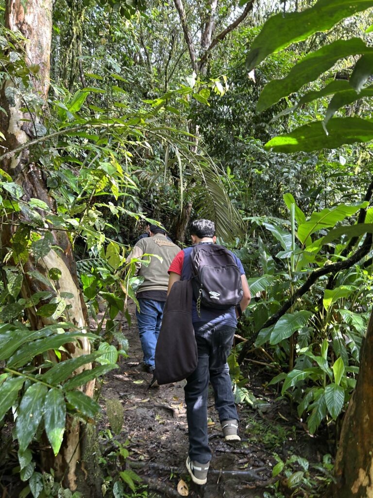 Dos visitantes subiendo por un sendero entre vegetación densa
