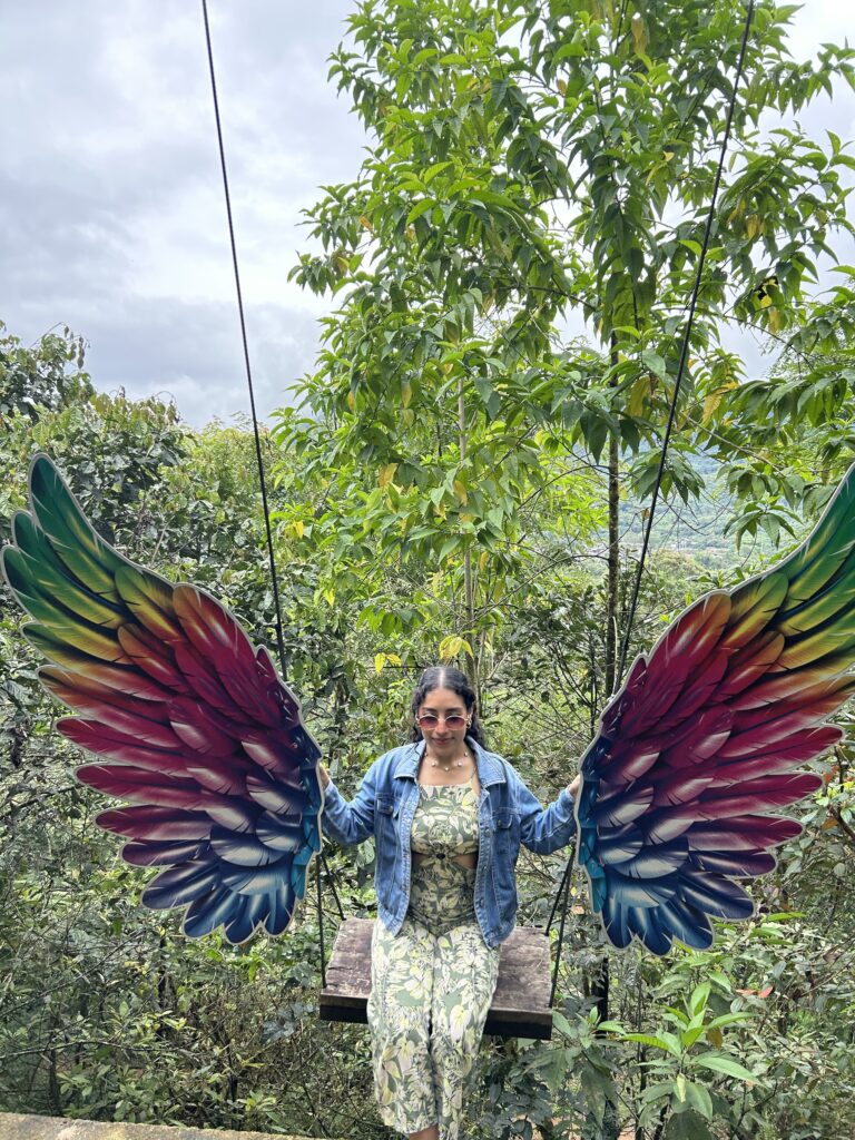 Visitante en el columpio de alas de guacamayo rodeado de vegetación