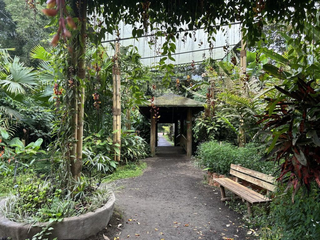 Sendero de jardín con pérgola de caña y flores colgantes en Mindo