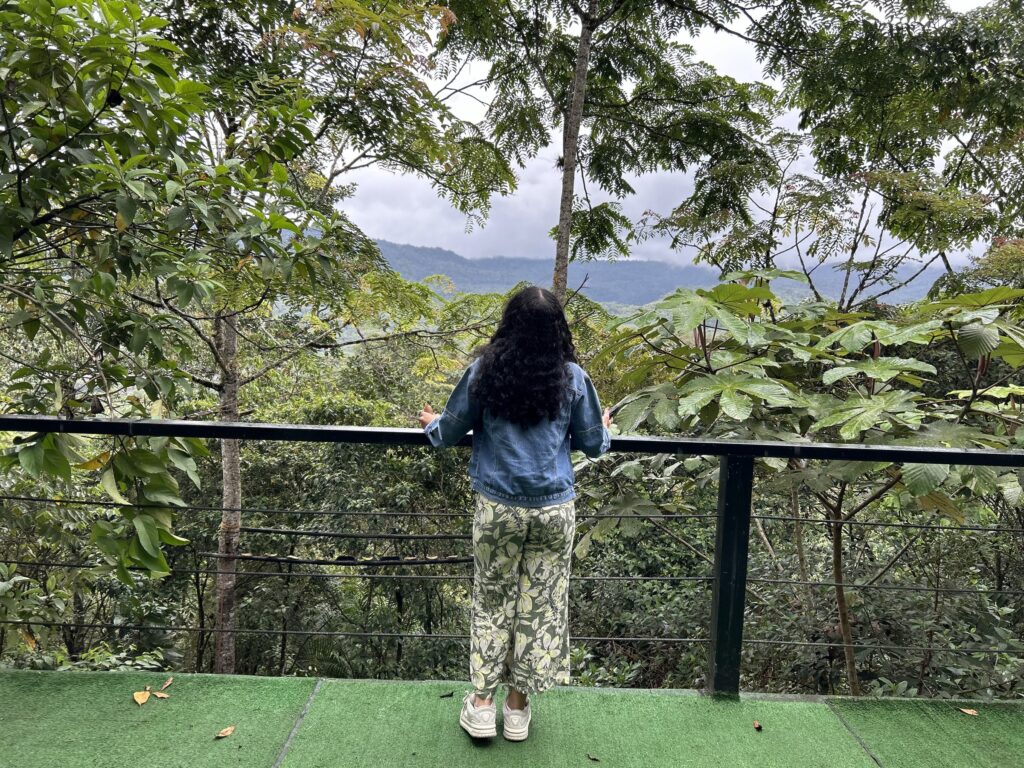Visitante mirando el bosque nublado desde un mirador de Mindo