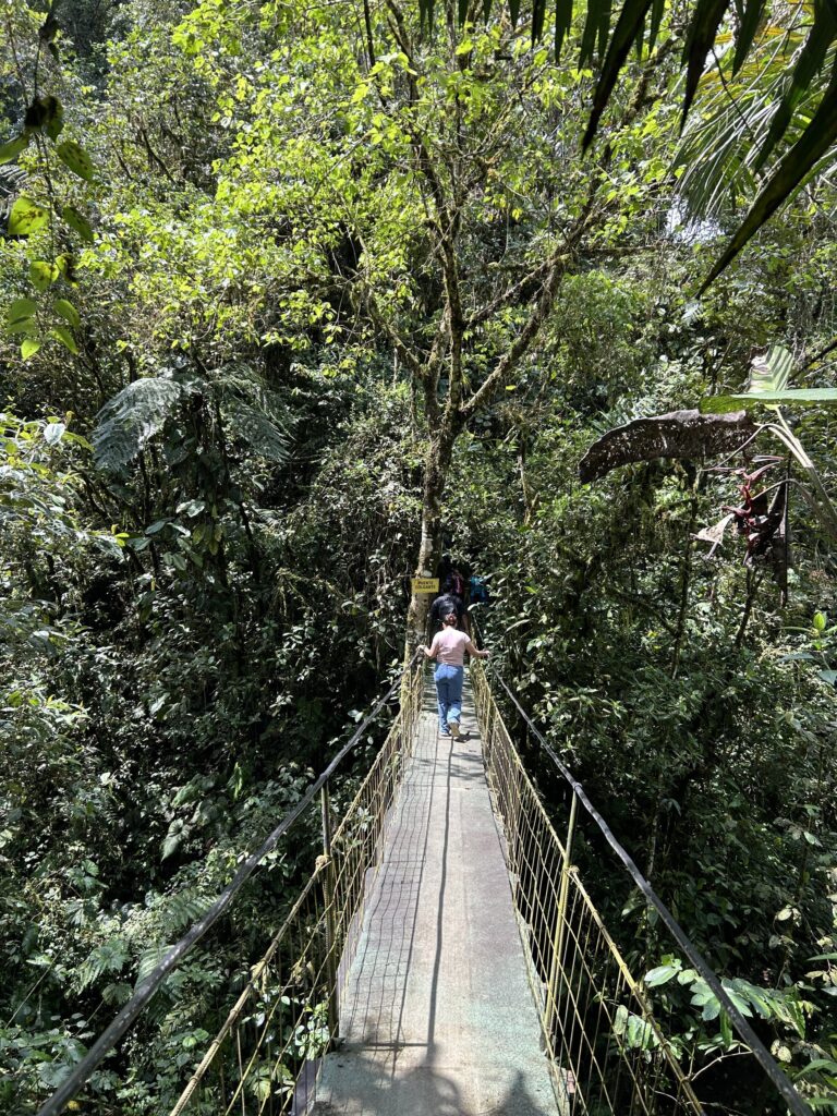 Visitante cruzando un puente colgante suspendido sobre el bosque nublado de Mindo