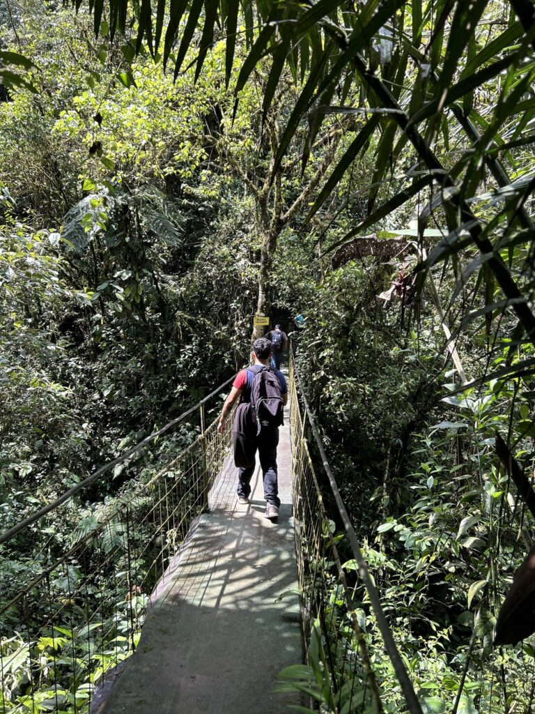 Viajera cruzando un puente colgante entre la vegetación del bosque nublado
