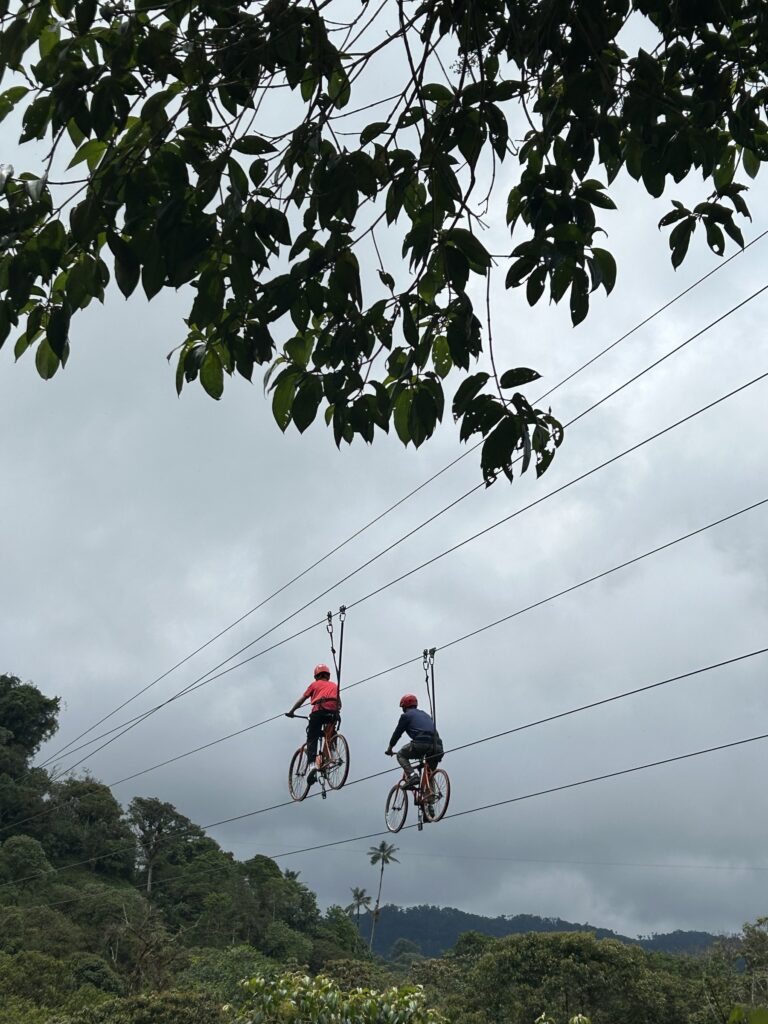 Dos visitantes cruzan el valle en la tarabita de bicicleta aérea sobre el bosque nublado