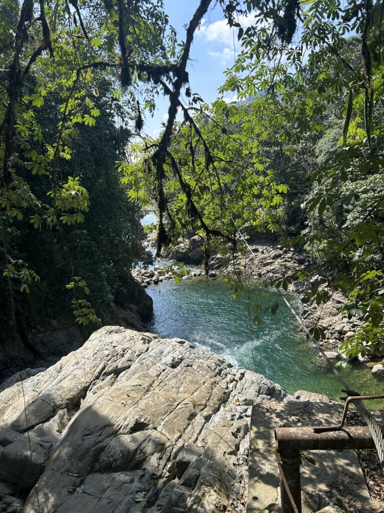 Poza turquesa del río entre rocas y ramas cubiertas de musgo