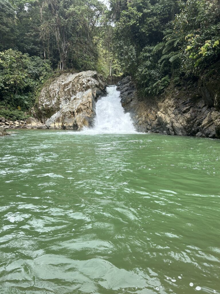 Poza amplia al pie de una cascada en el bosque nublado