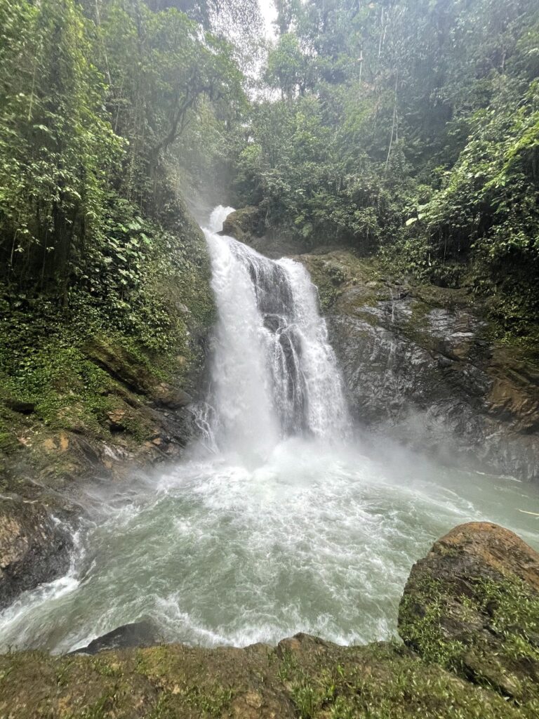 Salto de agua entre las rocas del bosque