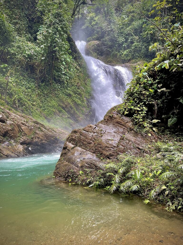 La cascada entre la neblina del bosque