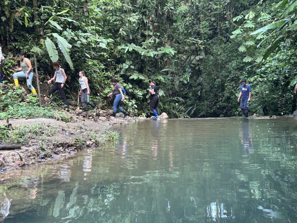 Grupo de visitantes bordeando una poza de agua clara dentro del bosque