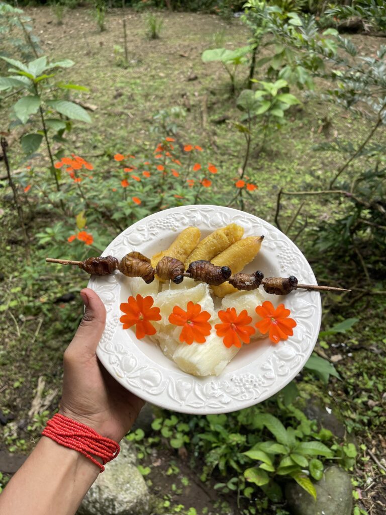 Plato servido con flores comestibles