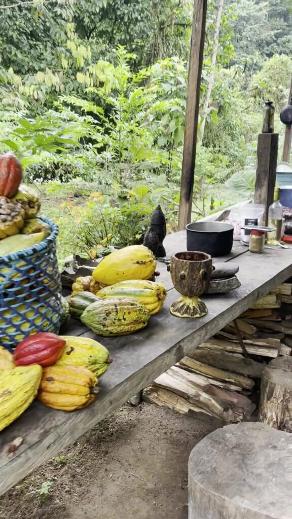 Cacao y desayuno en la reserva