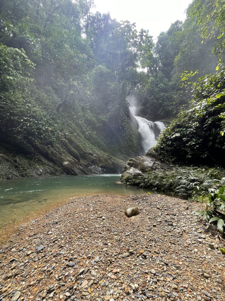 Meandro del río y bosque a la orilla