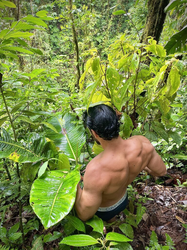 Vegetación del bosque húmedo del Chocó