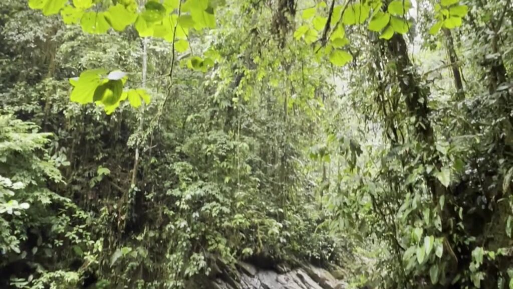 Poza y caída de agua