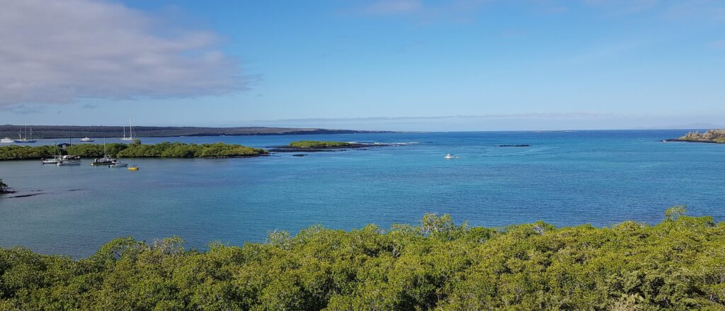 Bahía abierta de agua turquesa con veleros y manglar en Galápagos