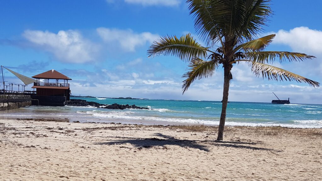 Playa con palmera, mar turquesa y muelle de madera en Galápagos