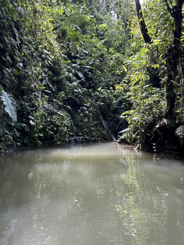 Río entre el bosque nublado del noroccidente