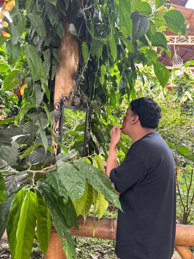 Visitante probando cacao junto a un árbol de cacao