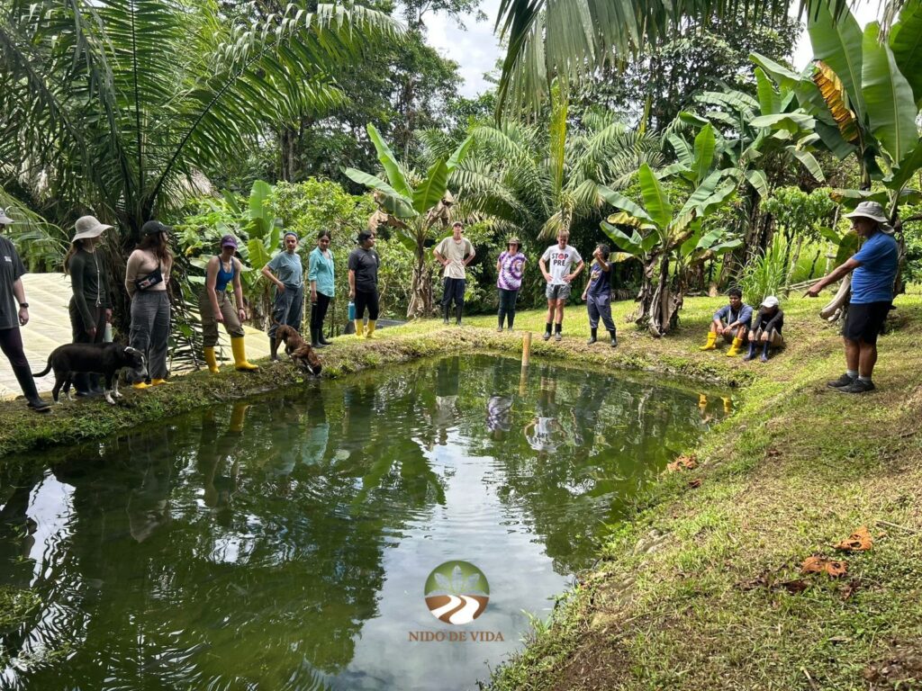 Grupo de visitantes con botas de caucho alrededor de un estanque en la finca Nido de Vida
